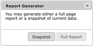 Report Generator Example Image